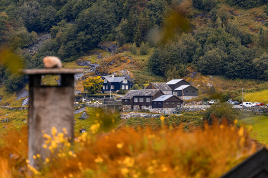 A beautiful traditional mountain farm buildings high on the mountain at the Geiranger village. A summer scenery of World Heritage area in Western Norway.