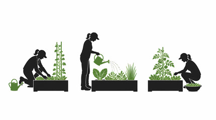 Naklejka premium Person gardening in raised bed containers with plants and watering can during outdoor cultivation activity