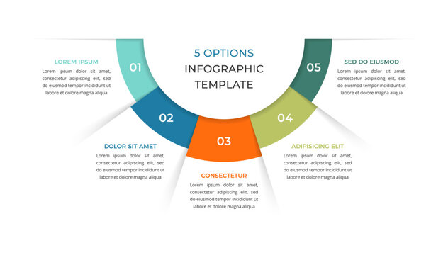 Semicircular infographic template with five numbered segments arranged in an arc