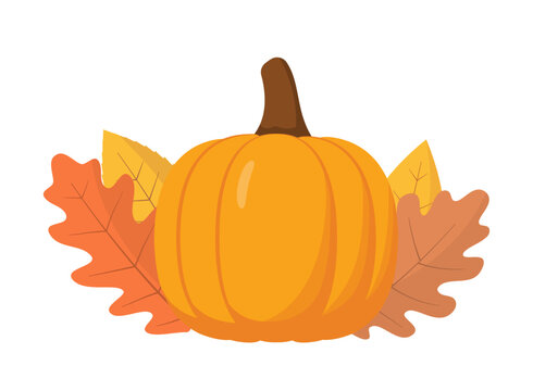 Ripe orange pumpkin with orange leaves illustration