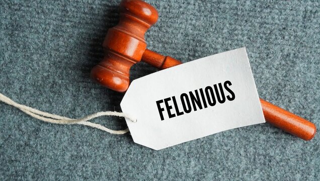 Hammer the judge and tag the paper with the word Felonious. involving, relating to, or having the nature of a felony a serious crime usually punishable by a year or more in prison.