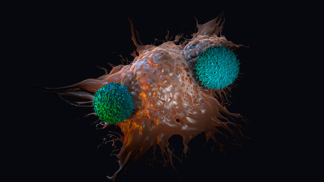CAR-T cell biology