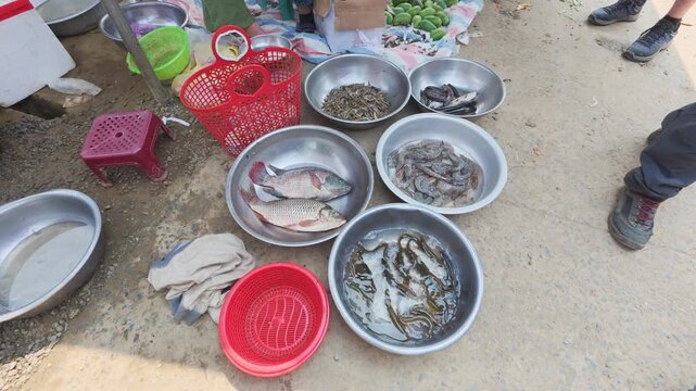 Outdoor Presentation of Various Fish in Metal Basins at Local Market