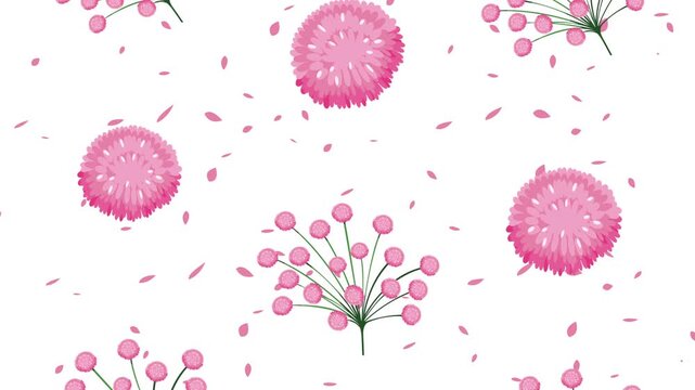 Abstract floral pattern motion background featuring falling pink flowers and petals on white surface.