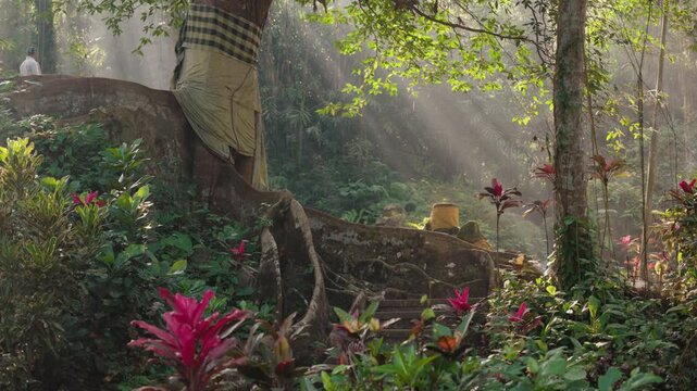 Ancient stone structures and weathered ruins intertwined with large tropical tree roots and dense vegetation at Goa Gajah archaeological site in Ubud, Bali