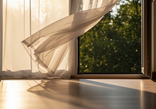 Window curtain sunlight interior