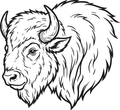 Black and white hand drawn sketch of a bison head profile illustration for nature and wildlife design projects Vector

