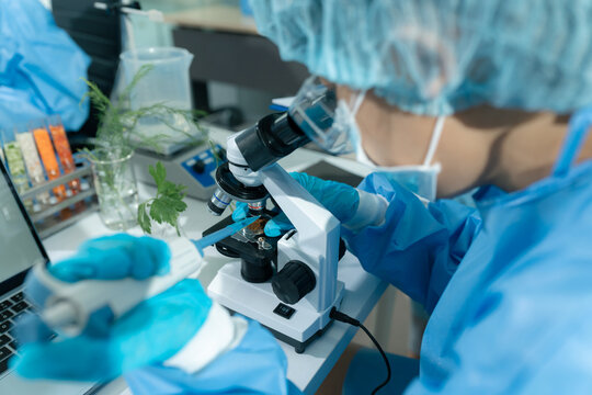 Team scientists research natural skincare products in a modern laboratory, testing formulas, analyzing ingredients, and driving cosmetic innovation and development.