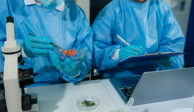 Team scientists research natural skincare products in a modern laboratory, testing formulas, analyzing ingredients, and driving cosmetic innovation and development.