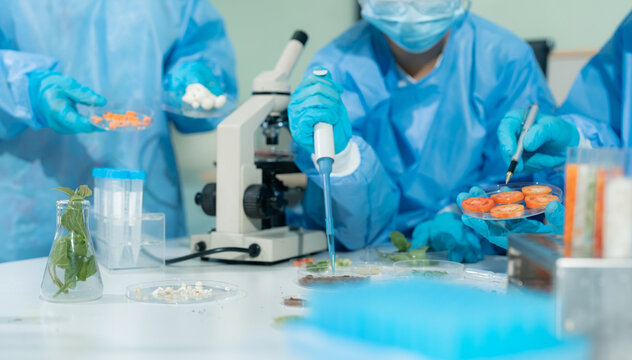 Team scientists research natural skincare products in a modern laboratory, testing formulas, analyzing ingredients, and driving cosmetic innovation and development.