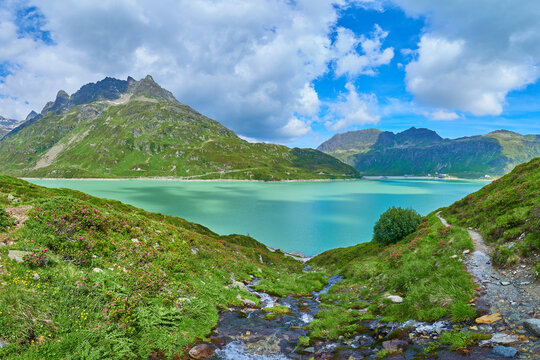Silvrettasee mit bl&uuml;henden Almrosen und Wildbach vor Alpengipfeln