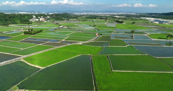 High angle aerial view of vibrant green rice paddies and flooded fields forming a patchwork rural landscape