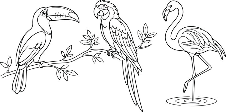 hand drawn vector illustration of a bird