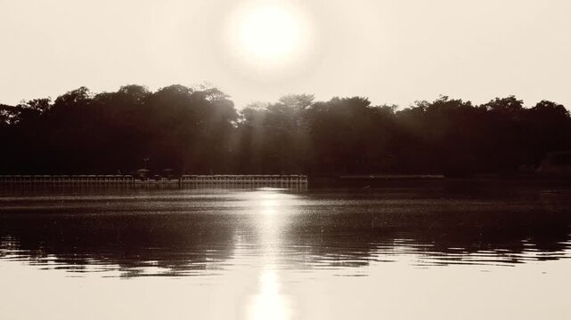 Cinematic monochrome view of a flock of birds flying over a quiet lake with lined-up pedal boats in Bangkok