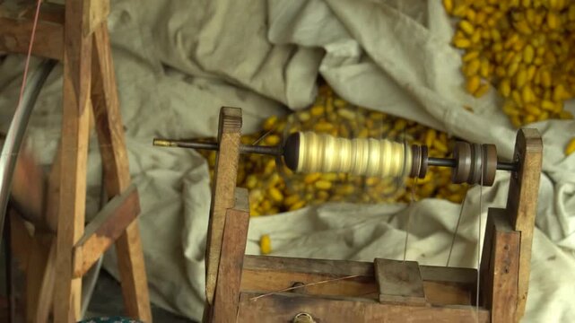 Silk Thread Reeling from Silk Cocoons