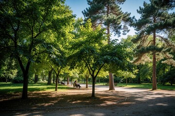 Obraz premium Green trees line a park path with people resting on benches. Sunlight filters through leaves onto grass and walkway. A peaceful outdoor scene on a bright day.