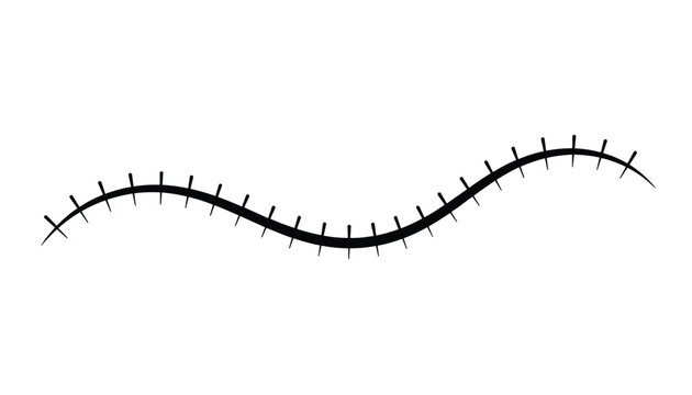 Single black wavy stitched line represents a surgical scar, sewing pattern, or zipper trace on a white canvas.