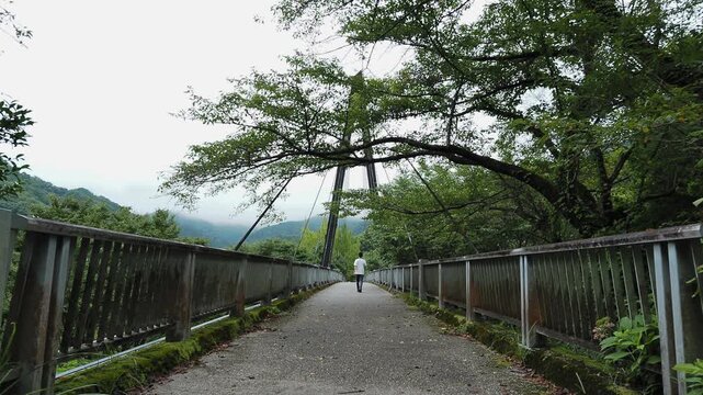 Person walking away across a suspension bridge surrounded by green mountains in Japan