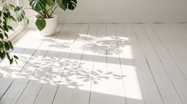 Sunlight casting shadows of monstera plant leaves on white wooden floorboards, minimalist interior design aesthetic, natural light illumination pattern texture detail, home decor