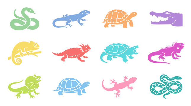Colorful reptiles and amphibians icons set.