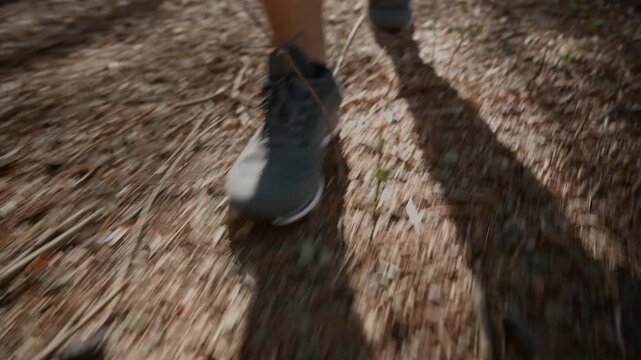 Close-up of environmentalist's feet stepping on forest floor debris during a hike or environmental survey. Concept of outdoor navigation, nature exploration, forestry inspection. 4K.