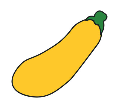 A simple vector illustration of a fresh yellow zucchini squash vegetable.