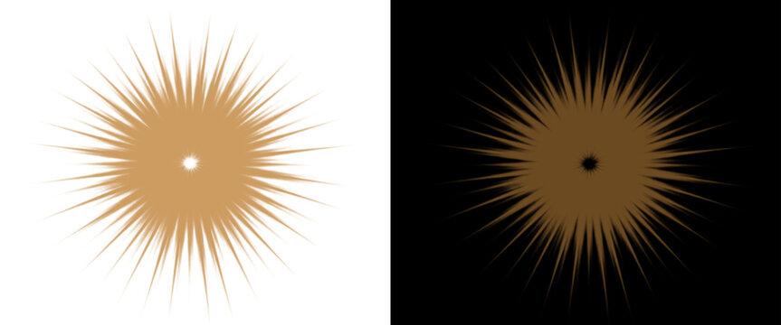 Golden sunburst starburst icons, radial light rays on black and white backgrounds, geometric sun flare design elements for logo and branding