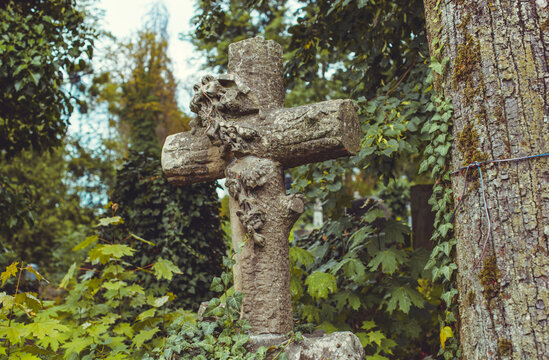 Ancient cemetery monuments featuring ornate gravestones, weathered stone sculptures and historic tombs surrounded by trees. Atmospheric old-world funerary architecture and timeless memorial details 