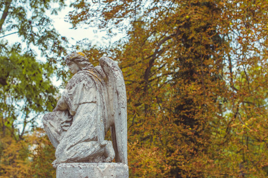 Ancient cemetery monuments featuring ornate gravestones, weathered stone sculptures and historic tombs surrounded by trees. Atmospheric old-world funerary architecture and timeless memorial details 