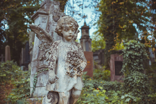 Ancient cemetery monuments featuring ornate gravestones, weathered stone sculptures and historic tombs surrounded by trees. Atmospheric old-world funerary architecture and timeless memorial details 