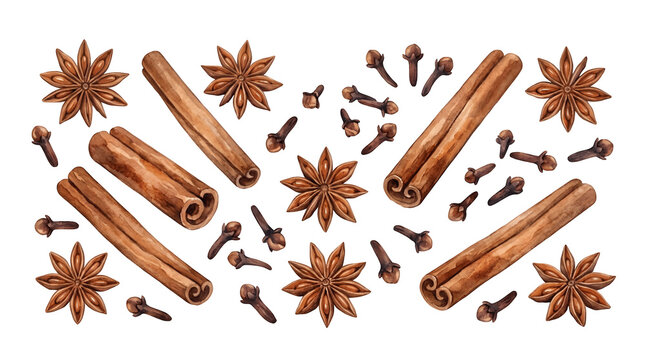 Aromatic whole cinnamon sticks star anise and cloves spices arranged on white background with baking spices christmas spices winter spices spice collection
