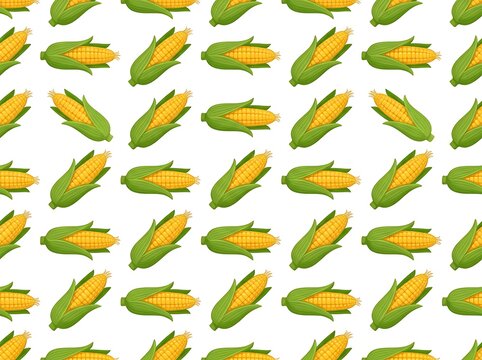 Seamless pattern with fresh corn cobs isolated on white background