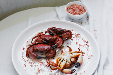 Cooked crabs served with pink Himalayan salt on a white plate, seafood cooking concept, gourmet cuisine, fresh ingredients and restaurant quality food © svittlana