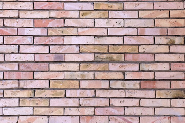 Fototapeta premium Bricks forming a patterned wall structure, providing a neutral background or abstract texture, showcasing various light color tones and mortar lines