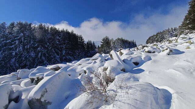 Amazing Winter landscape of Vitosha Mountain, Sofia City Region, Bulgaria