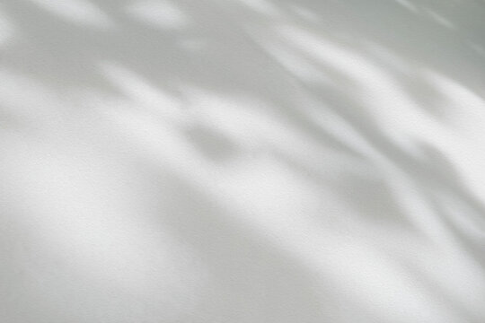 Light and shadow of leaf abstract grey background. Natural shadows and sunshine diagonal refraction on white concrete wall texture. Shadow overlay effect for foliage mockup, banner graphic layout