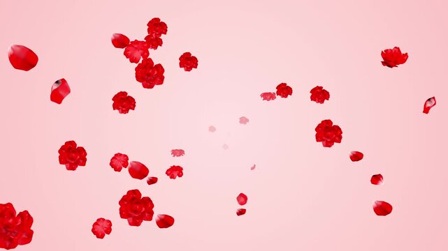 Rose Petals and Flowers Flying from Background to Foreground - Pink Color Background
