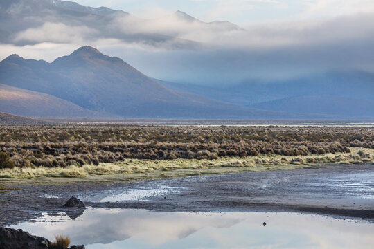 Northern Chile