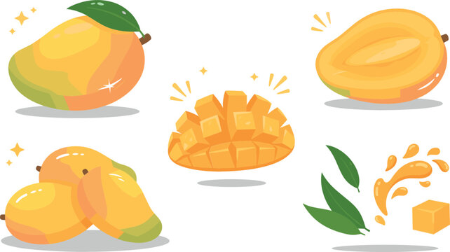 Fresh yellow mango fruit vector illustration set featuring whole mangoes half slice diced cubes juice splash and green leaves isolated on white background