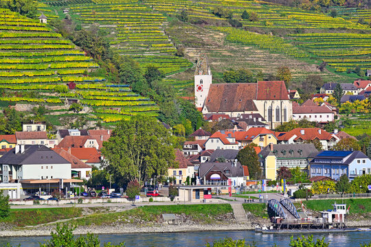 Picturesque view of Spitz an der Donau with the Parish Church of Saint Mauritius and terraced vineyards in the Wachau Valley, Lower Austria