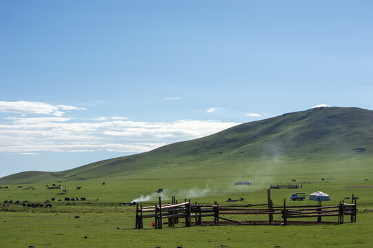 Herders' camp with grazing yaks and rising smoke, Orkhon Valley, Mongolia