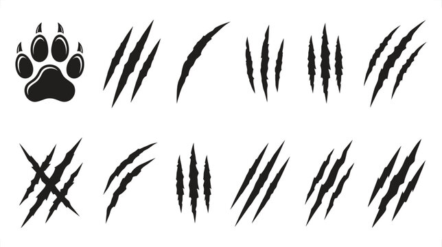 Black claw marks and animal paw print set. Aggressive predator scratch icons. Sharp beast claw rip marks for sports logos and gaming.