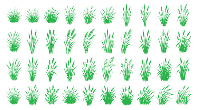 Green grass tufts collection, 40 vector plant icons set. Flat botanical grass clumps for landscape design. Organic garden greenery elements.
