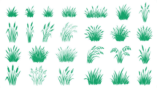 Green grass silhouettes collection, 28 botanical plant elements in EPS format, flat meadow weed and reed icons for landscape design