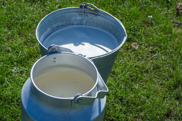 Traditional milk pails filled with fresh milk, Orkhon Valley, Mongolia © 由季 中山