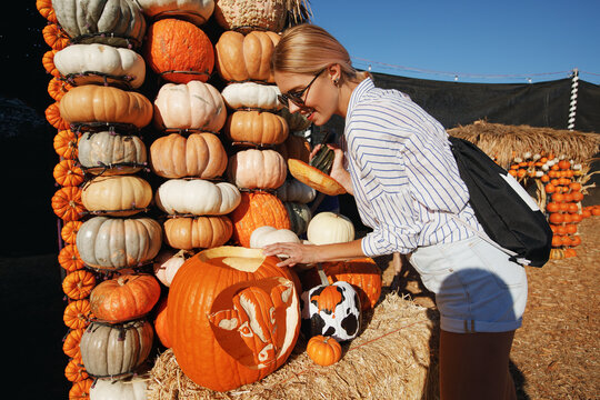 Woman with orange pumpkins at outdoor farmer market. Halloween pumpkins