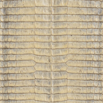 Light brown snake skin scale texture pattern background