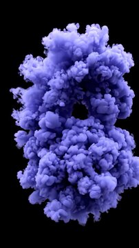 Purple Ink Cloud Dissolving in Water Against Black Background, Slow Motion Abstract Background