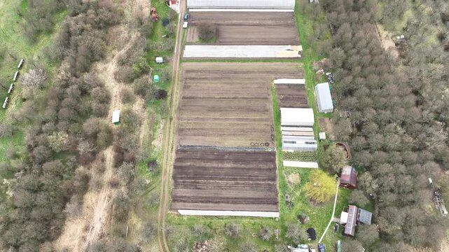 Farm drone bio farmer spring aerial farming and agricultural farm garden planting lettuce, onion, beetroot red Beta vulgaris seedling leaf green gardener hand dinner table natural plant leaves bio