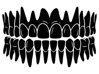 Human Dental Teeth Anatomy Vector, Upper and Lower Jaw Graphic © Ninjackz